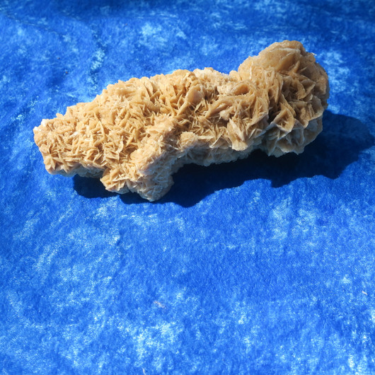 Hiekkaruusu 830g pituus 19cm aavikkoruusu