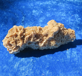 Hiekkaruusu 830g pituus 19cm aavikkoruusu