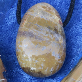 Riipus kivettynyt puu porattu. Madagaskar