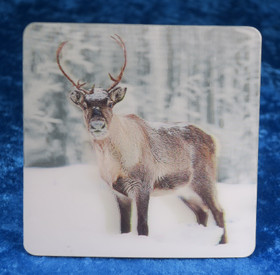 3D-lasinalunen poro 9x9cm