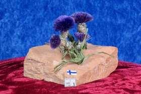 Maasälpä, jossa violetteja kukkia, pöytäkoriste