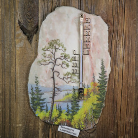 Lämpömittari lapin ruska järvimaisema kivimurskamaisema 23x15cm CQ