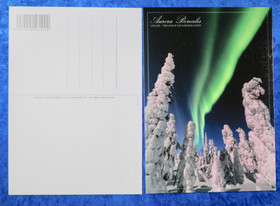 Postikortti Aurora Borealis. Vihreät revontulet ja tykkylumiset puut