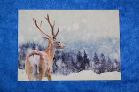 Postikortti peura talvimaisemassa