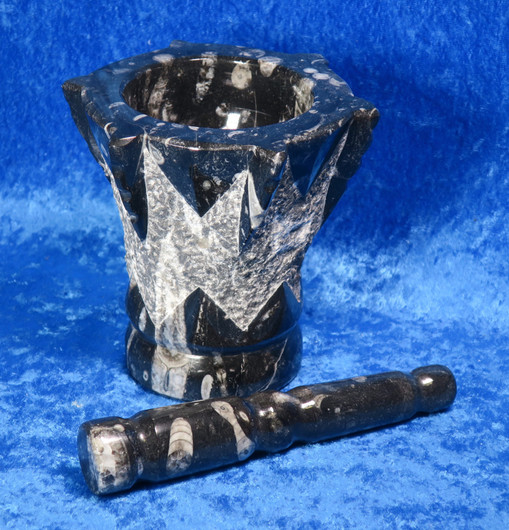 Fossiilimortteli, korkeus 12cm, osittain hiottu