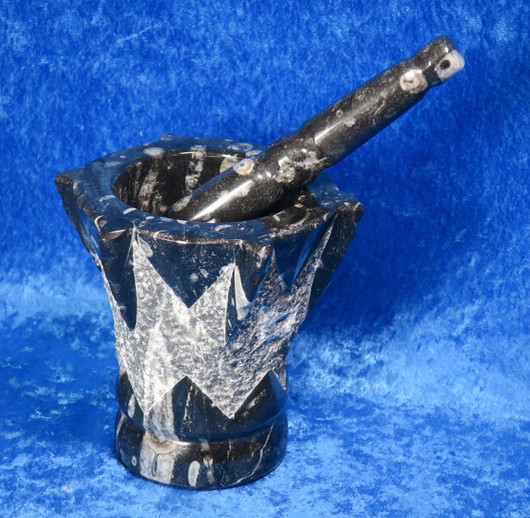 Fossiilimortteli, korkeus 12cm, osittain hiottu