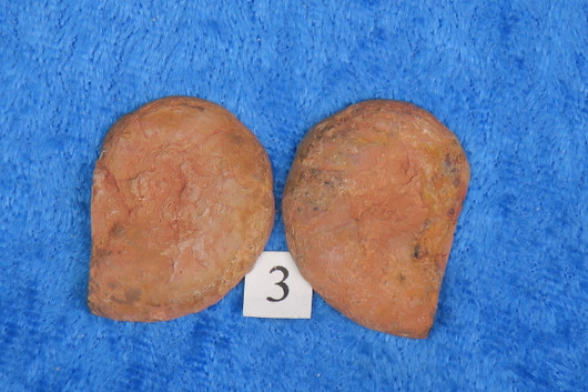 Ammoniitti PARI halkaistu fossiili 20-30mm nro3