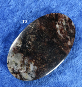 Astrofylliitti taskukivi  nroT3