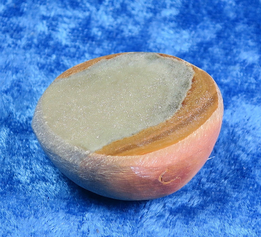 Imperial jaspis Emu egg lohikäärmeen muna 30g