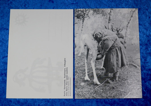 Postikortti Anna lypsää poroa v.1933, mustavalkoinen