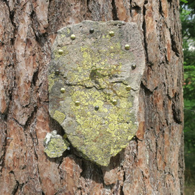 Heilurikello kvartsiitti sammalkivi seinäkello 30x25cm 310R 