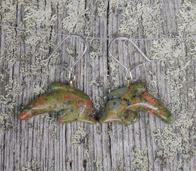 Korvakorut unakiitti delfiini