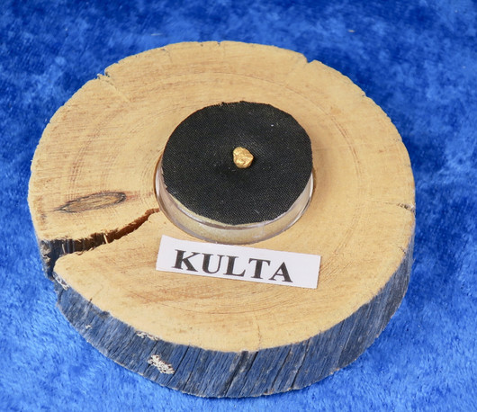 Hippukulta 0,330g kelohonkarasiassa Lemmenjoki Suomi-Finland nroB