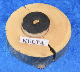 Hippukulta 0,282g kelohonkarasiassa,  Lemmenjoki Suomi-Finland