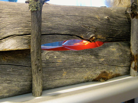 Pöytävalaisin RAKOVALKEA Lapin kelopuu tunnelmallinen 3W liekkilamppu