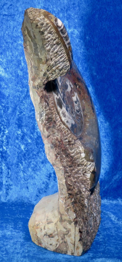 Fossiiliveistos iso ammoniitti ja oikosarvifossiiliveistos 19,5kg 