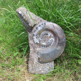 Fossiiliveistos iso ammoniitti ja oikosarvifossiiliveistos 19,5kg 