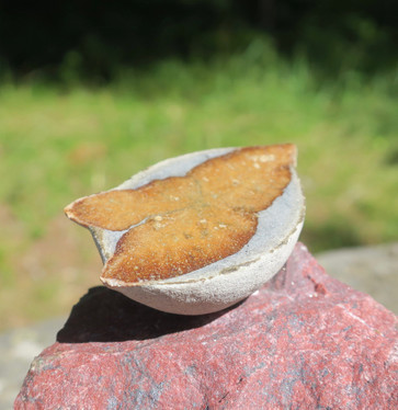 Glendoniitti 6cm 47g ikaiitti, halkaistu