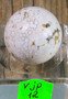 Kivipallo Valtamerijaspis nro 10-13  n. 3cm 35g Madagaskar