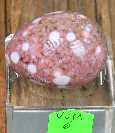  Kivimuna valtamerijaspis n.35mm muna nro 5-7 Madagaskar