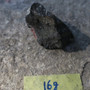 Egiriini raaka 16g