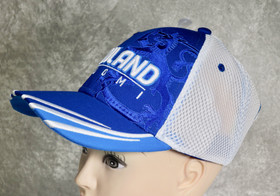 Lippis Finland-Suomi sinivalkoinen, brodeerattu Suomen leijona