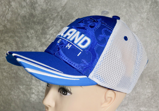 Lippis Finland-Suomi sinivalkoinen, brodeerattu Suomen leijona