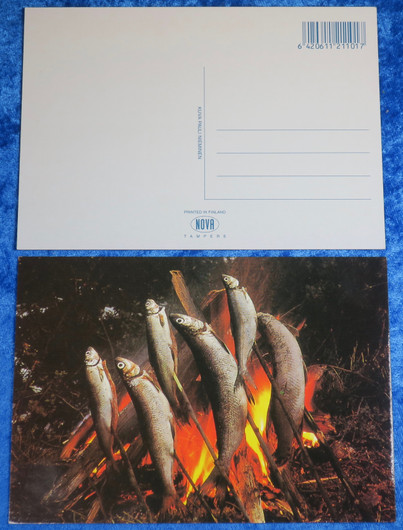 Postikortti kalat paistuu tikussa nuotiolla