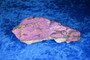 Purpuriitti iso raaka 532g 17x6x3cm Namibia