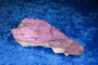 Purpuriitti iso raaka 532g 17x6x3cm Namibia