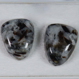 Nappikorvakorut astrofylliitti KIILA 12x15mm  M