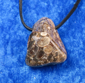 Riipus Turritella-akaatti etanafossiili 30mm porattu nro1-2