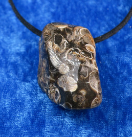 Riipus Turritella-akaatti etanafossiili 30mm porattu nro1-2