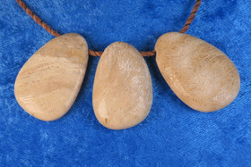 Riipus fossiilikoralli 36-40mm, porattu. Indonesia