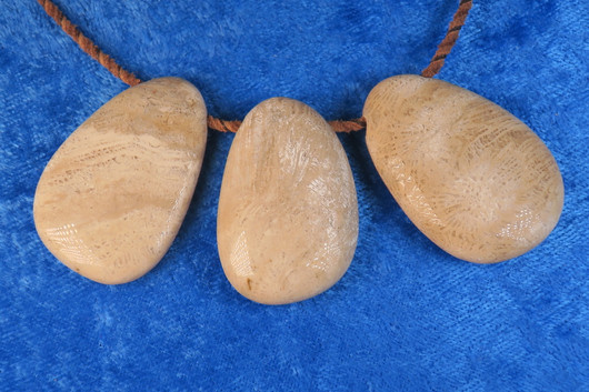 Riipus fossiilikoralli 36-40mm, porattu. Indonesia