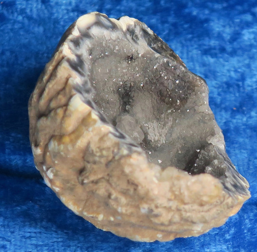 Akaattigeodi nro a20j 26g Brasilia