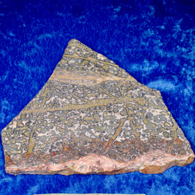 Kivisiivu leopardijaspis, kookas 155x170x125x35mm Hi141