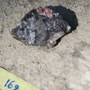Egiriini raaka 16g