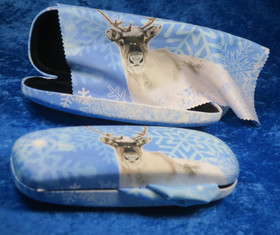 Silmälasikotelo ja 18x15cm puhdistusliina. PORO