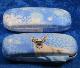 Silmälasikotelo ja 18x15cm puhdistusliina. PORO