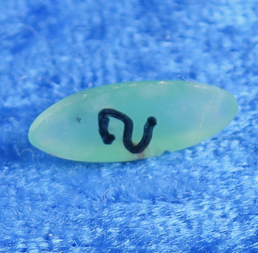 Kapussi krysopraasi, ovaali 6x15mm nro2