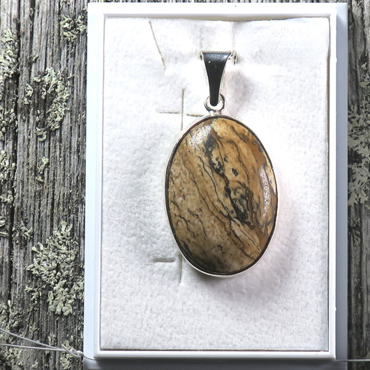 Hopeariipus maisemajaspis 18x25mm