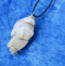 Riipus kivettynyt puu spiraalissa nro1