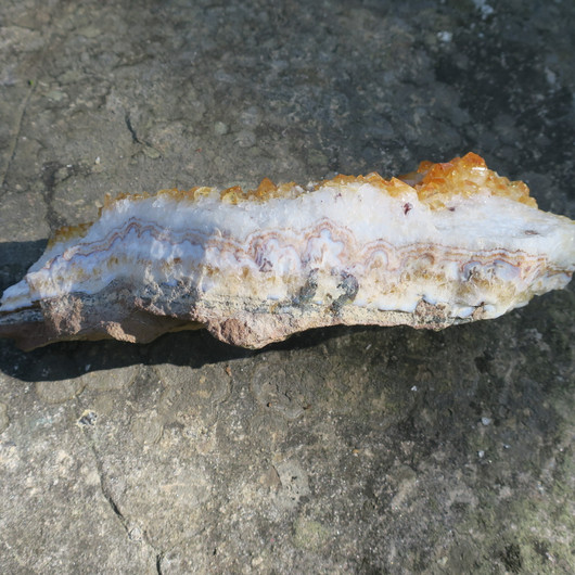 Sitriini kidesykerö 2980g 28x10cm, suurin ja tosi kaunis yksilö! A