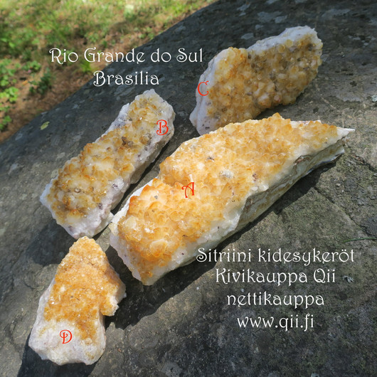 Sitriini kidesykerö 2980g 28x10cm, suurin ja tosi kaunis yksilö! A