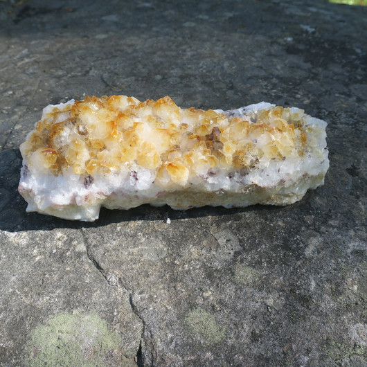 Sitriini iso kidesykerö 1,6kg 20x8cm nro B