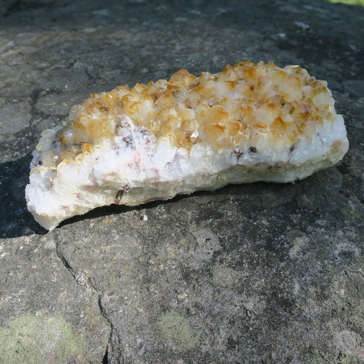 Sitriini iso kidesykerö 1,6kg 20x8cm nro B