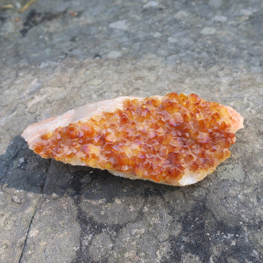 Sitriini kidesykerö 580g 17x6cm E, lämpökäsitelty