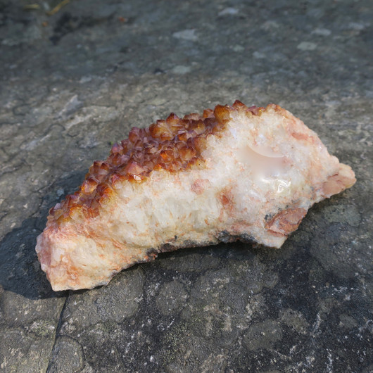 Sitriini kidesykerö 580g 17x6cm E, lämpökäsitelty