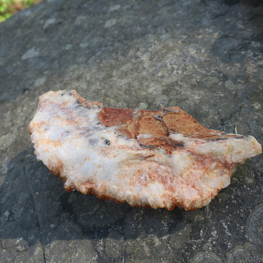 Sitriini kidesykerö 580g 17x6cm E, lämpökäsitelty